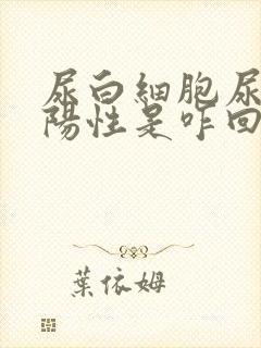 尿白细胞尿潜血阳性是咋回事