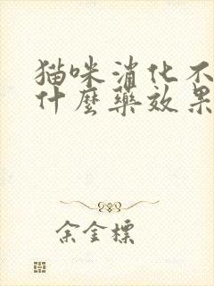 猫咪消化不好吃什么药效果最好