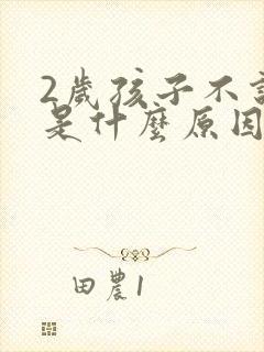 2岁孩子不说话是什么原因