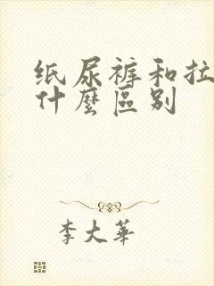 纸尿裤和拉拉裤什么区别