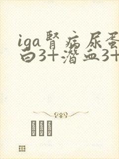 iga肾病尿蛋白3+潜血3+严重吗