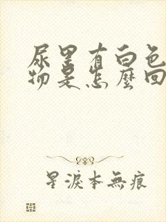 尿里有白色沉淀物是怎么回事男