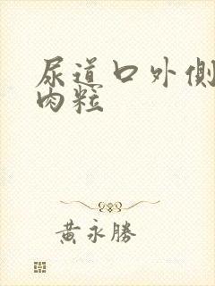 尿道口外侧长小肉粒