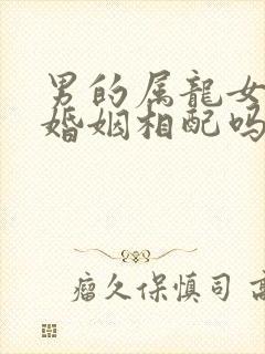 男的属龙女属兔婚姻相配吗