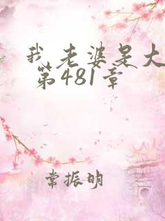 我老婆是大明星 第481章