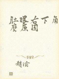 肚眼右下角疼什么原因