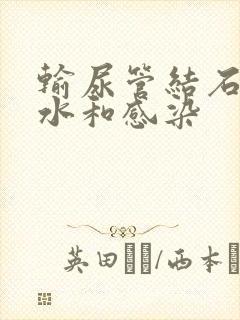 输尿管结石伴积水和感染