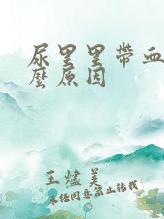 尿里里带血是什么原因