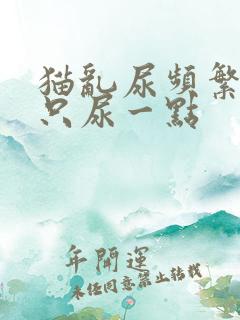 猫乱尿频繁每次只尿一点