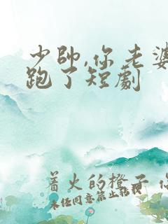 少帅,你老婆又跑了短剧