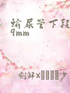 输尿管下段结石9mm