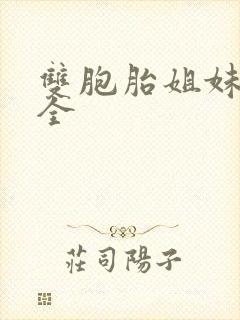 双胞胎姐妹小说全