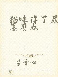 猫咪得了尿闭症怎么办