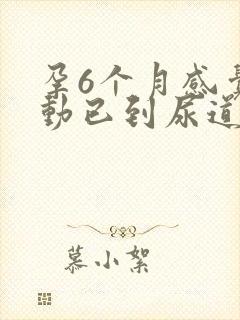 孕6个月感觉胎动已到尿道口