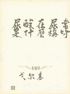 尿酸在尿常规里是什么称呼