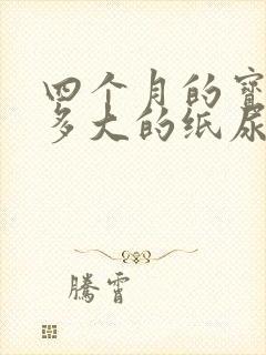 四个月的宝宝穿多大的纸尿裤