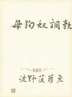 母狗奴调教自述