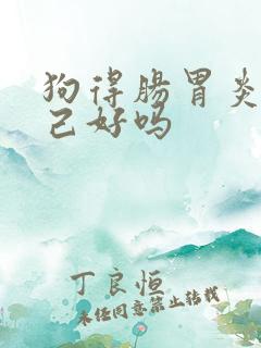 狗得肠胃炎能自己好吗