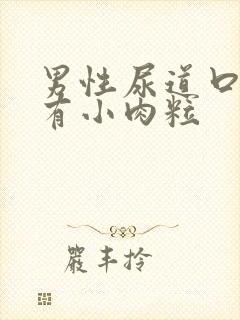 男性尿道口下方有小肉粒