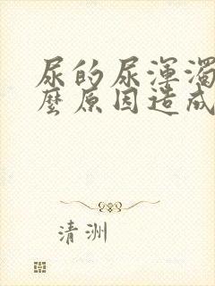 尿的尿浑浊是什么原因造成的