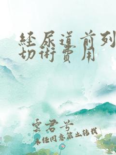 经尿道前列腺电切术费用