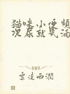 猫咪小便频繁每次尿就几滴