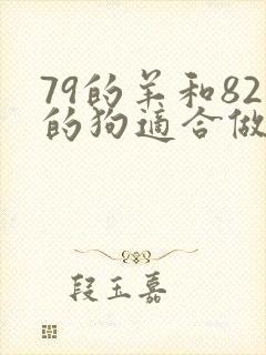 79的羊和82的狗适合做夫妻吗