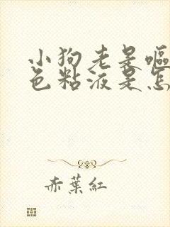 小狗老是呕吐白色粘液是怎么回事