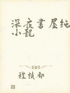 深夜书屋纯洁滴小龙
