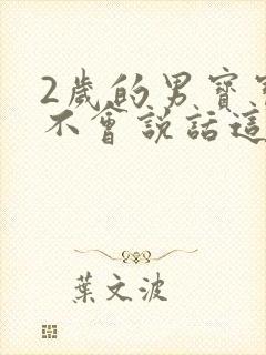 2岁的男宝宝还不会说话这正常