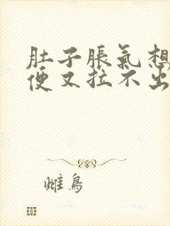 肚子胀气想拉大便又拉不出来怎么缓解