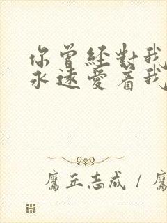 你曾经对我说会永远爱着我是什么歌