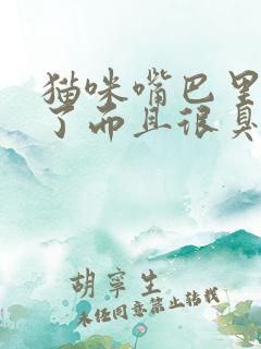 猫咪嘴巴里面烂了而且很臭怎么办