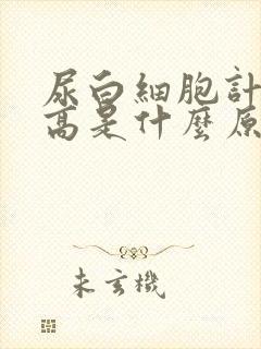 尿白细胞计数偏高是什么原因