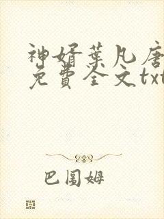 神婿叶凡唐若雪免费全文txt