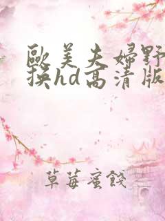 欧美夫妇野外交换hd高清版