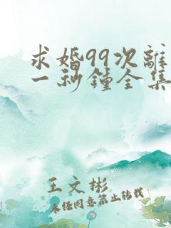 求婚99次离婚一秒钟全集