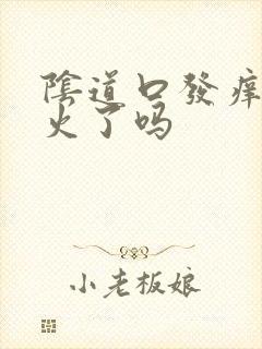 阴道口发痒是上火了吗