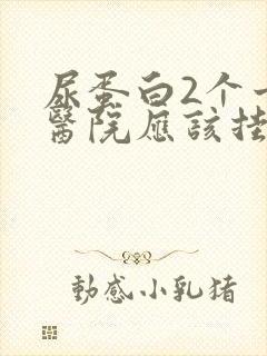 尿蛋白2个十去医院应该挂什么科?