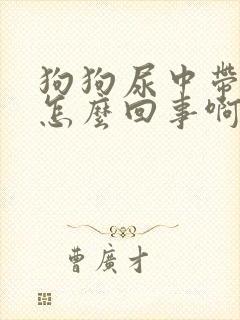 狗狗尿中带血是怎么回事啊