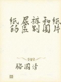 纸尿裤和纸尿片的区别图片