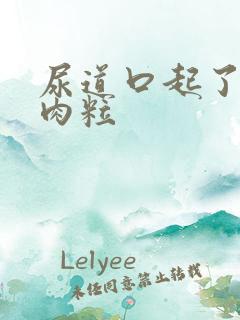 尿道口起了小红肉粒