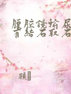 腹腔镜输尿管里有结石取石