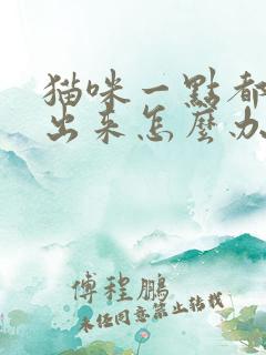 猫咪一点都尿不出来怎么办