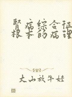 肾病综合征的最根本的病理生理改变是