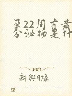 孕22周有黄色分泌物是什么原因