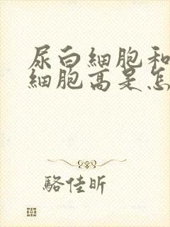 尿白细胞和尿红细胞高是怎么回事