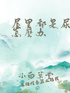 屋里都是尿骚味怎么办