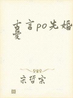 古言po先婚后爱