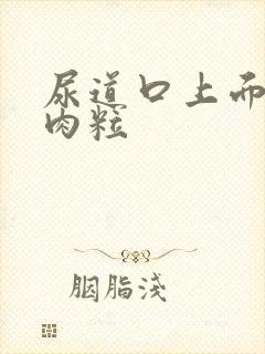 尿道口上面长小肉粒